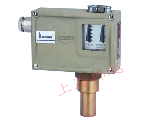 防爆壓力控制器  D505/7D、D505/7DK