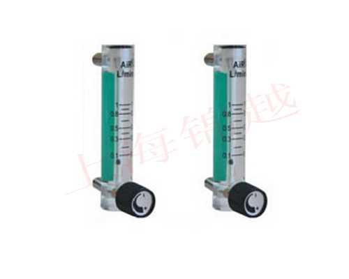 DK800S-6  玻璃轉子流量計